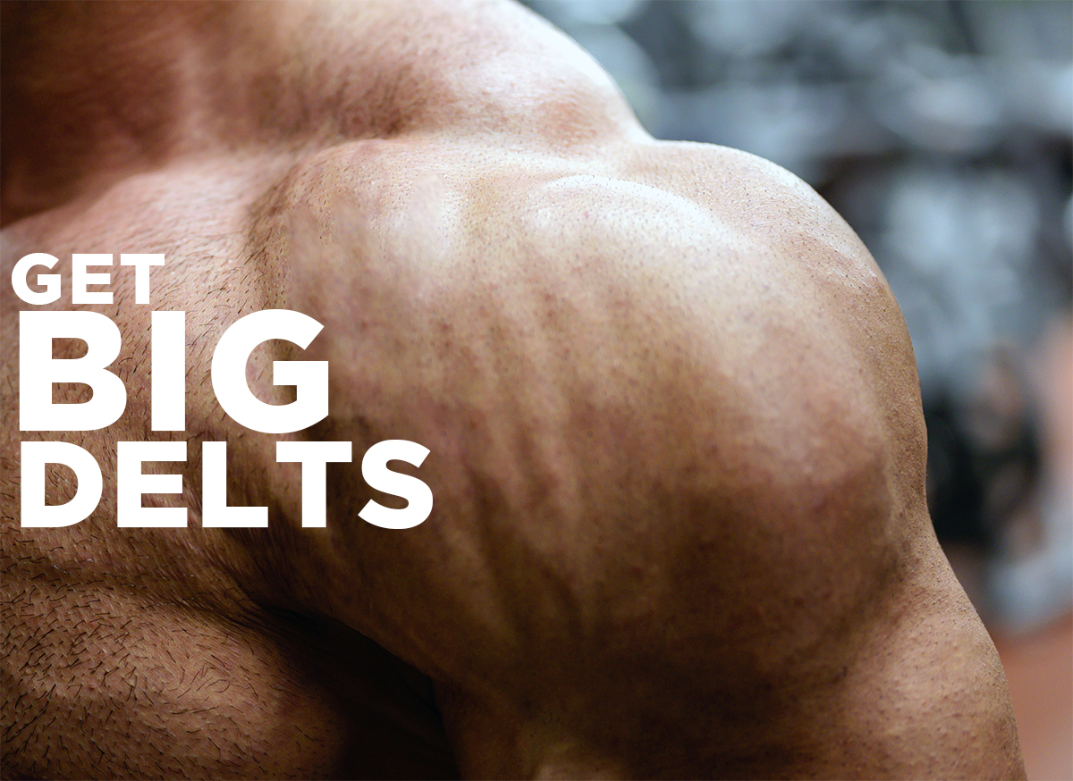 Get Big Delts with the Super Bench