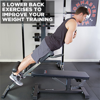 Simple Lower Back Exercises Online