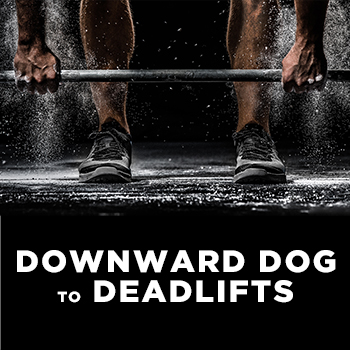 Downward Dog to Deadlifts